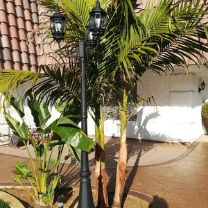 Meet your Posher, Betty